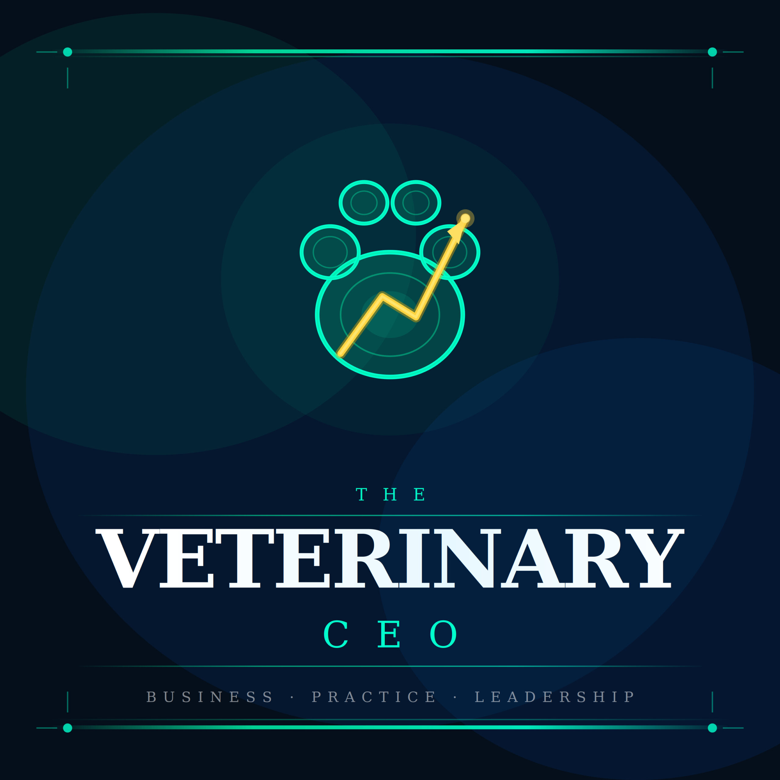 The Veterinary CEO